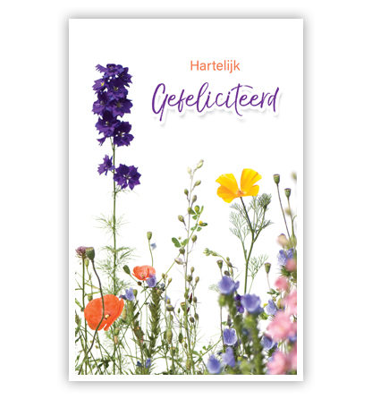 Veldbloemen