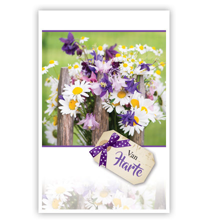 Lila en witte bloemen aan hek Lila en witte bloemen aan hek