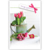 Roze tulpen in gieter op stoel Roze tulpen in gieter op stoel