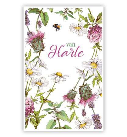 Getekende bloemen en een bij Getekende bloemen en een bij