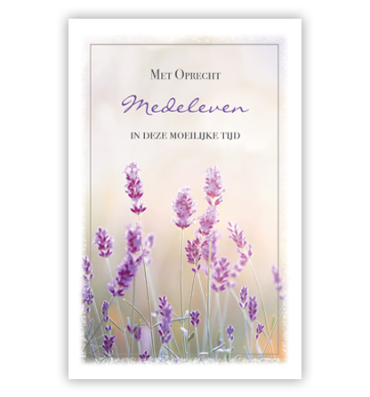 Lavendel Lavendel