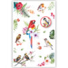 Papegaai, andere vogels en bloemen Papegaai, andere vogels en bloemen