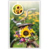 Boeket met zonnebloem op fiets Boeket met zonnebloem op fiets