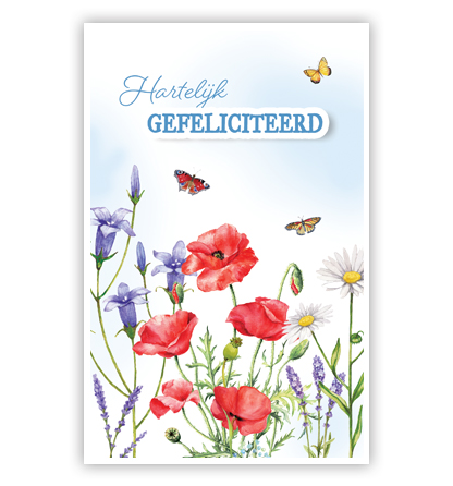 Klaprozen en lila en witte bloemen Klaprozen en lila en witte bloemen