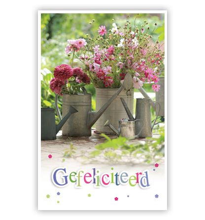 Roze bloemen in tinnen gieters Roze bloemen in tinnen gieters