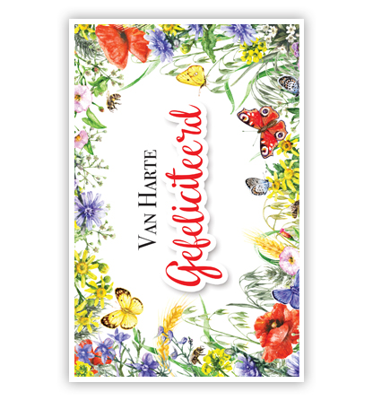 Gele, rode en lila bloemen rondom tekst Gele, rode en lila bloemen rondom tekst