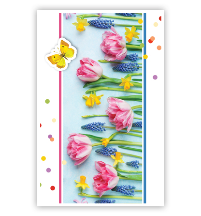 Tulpen, narcissen en blauwe druifjes Tulpen, narcissen en blauwe druifjes