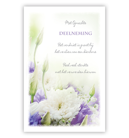 Witte en paarse bloemen Witte en paarse bloemen