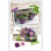 Lila bloemen in twee foto’s Lila bloemen in twee foto’s
