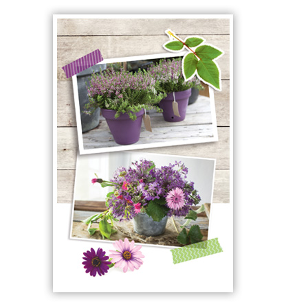 Lila bloemen in twee foto’s Lila bloemen in twee foto’s