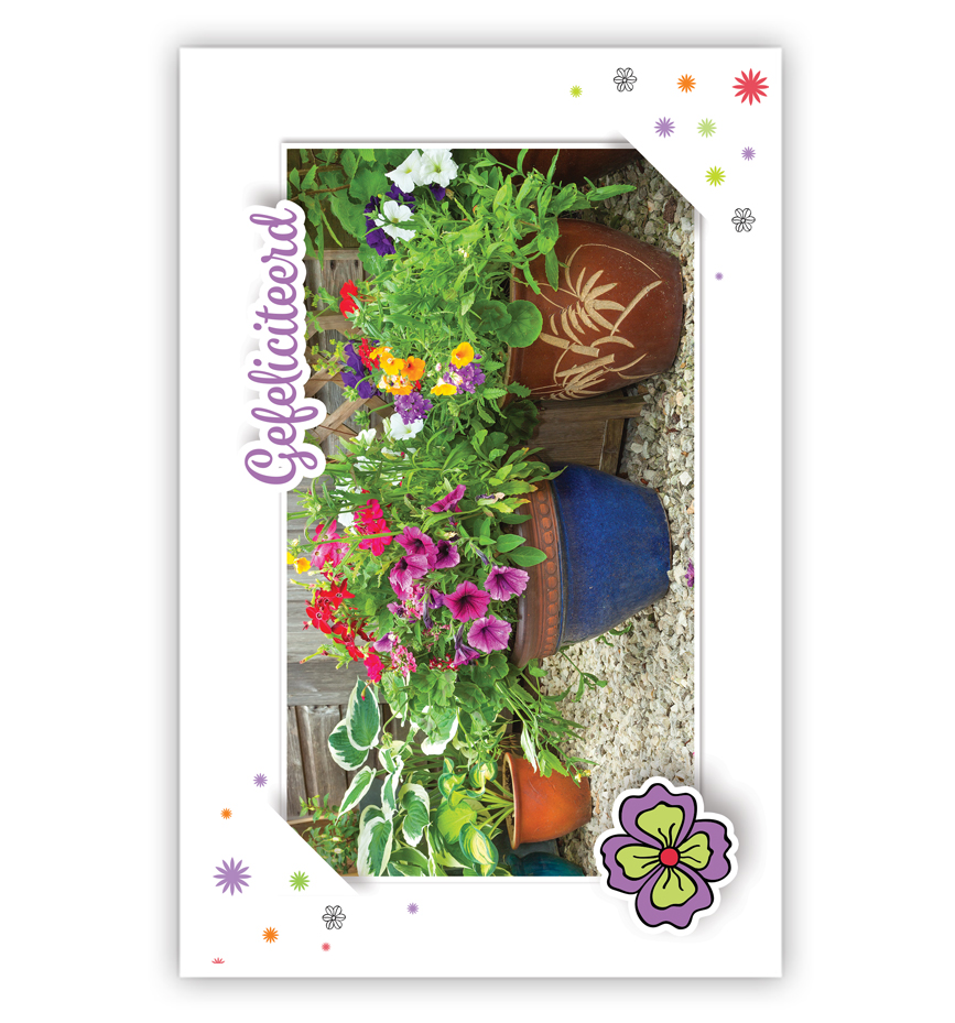 Tuinpotten met bloemen