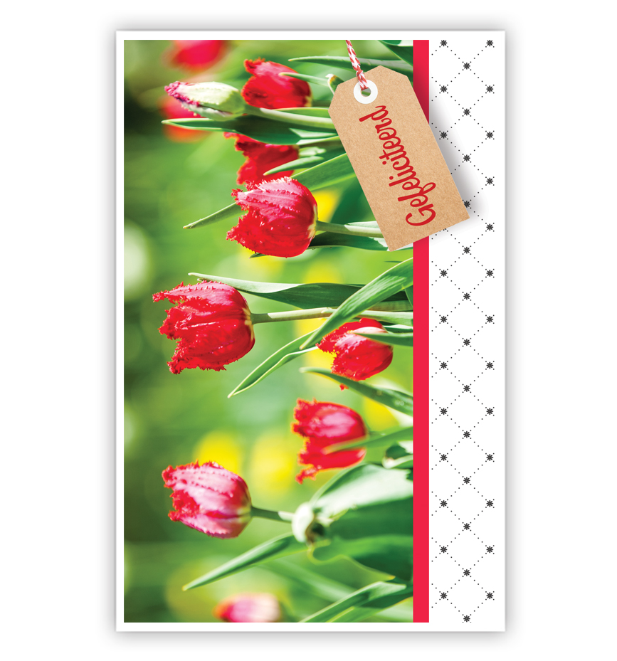 Rode bloemen en kaartje met tekst Rode bloemen en kaartje met tekst